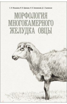 Морфология многокамерного желудка овцы. Монография