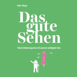 Das gute Sehen - Kleine Entdeckungsreise mit unserem wichtigsten Sinn (Ungekürzt)