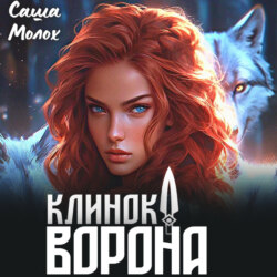 Клинок Ворона