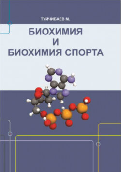 Биохимия и биохимия спорта