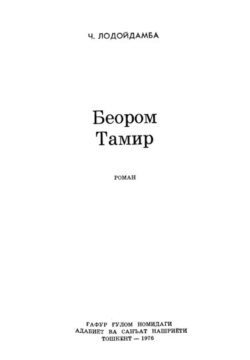 Беором Тамир