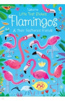 Flamingos