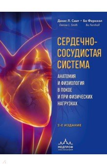 Сердечно-сосудистая система. Анатомия и физиология в покое и при физических нагрузках