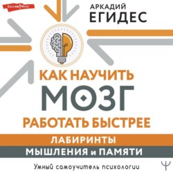 Как научить мозг работать быстрее. Лабиринты мышления и памяти