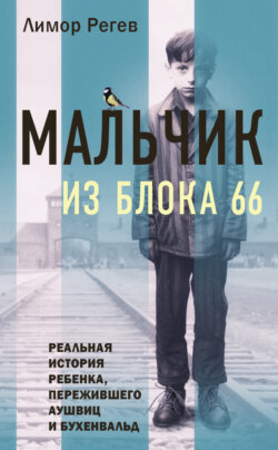 Мальчик из Блока 66. Реальная история ребенка, пережившего Аушвиц и Бухенвальд