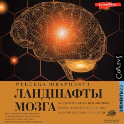 Ландшафты мозга. Об удивительных искаженных картах нашего мозга и о том, как они ведут нас по жизни