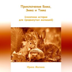 Приключения Бима, Зима и Тима. Сказочная история для продвинутых малышей