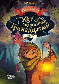 Кот по кличке Тринадцатый. Книга 1