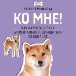 Ко мне! Как научить собаку моментально возвращаться по команде