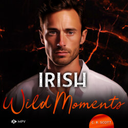 Irish Wild Moments - Ireland Love, Band 1 (Ungekürzt)