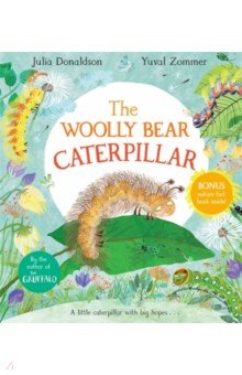 The Woolly Bear Caterpillar