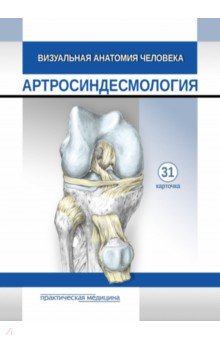 Визуальная анатомия человека. Артросиндесмология. Карточки, 31 штука