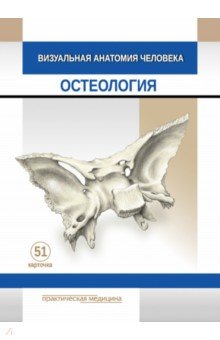 Визуальная анатомия человека. Остеология. Карточки, 51 штука