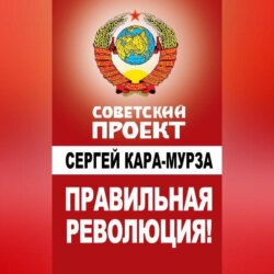 Правильная революция!