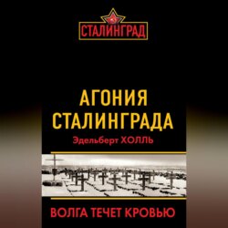 Агония Сталинграда. Волга течет кровью