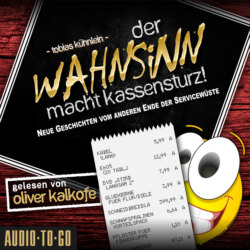Der Wahnsinn macht Kassensturz! - Die Wahnsinn-Reihe, Band 2 (ungekürzt)