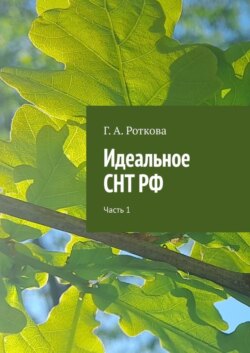 Идеальное СНТ РФ. Часть 1