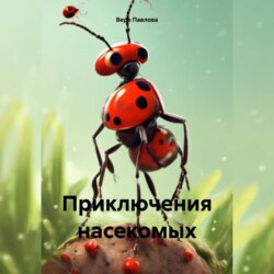 Приключения насекомых