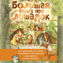 Большая книга про лошадок