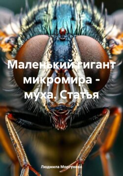 Маленький гигант микромира – муха. Статья