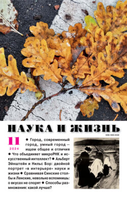 Наука и жизнь №11/2024