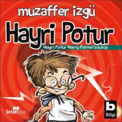 Hayrı Potur