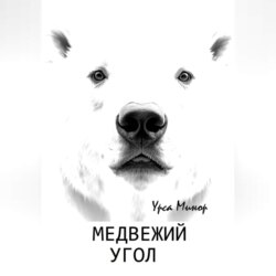 Медвежий угол