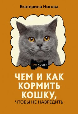 Чем и как кормить кошку, чтобы не навредить