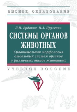 Системы органов животных. Сравнительная морфология отдельных систем органов у различных типов животных