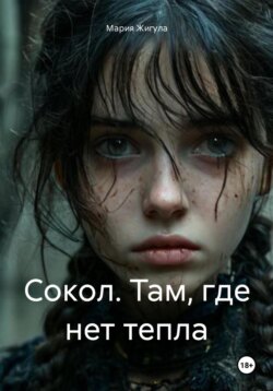 Сокол. Там, где нет тепла