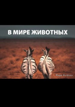 В мире животных