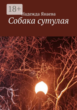 Собака сутулая
