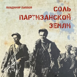 Соль партизанской земли