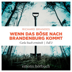 Wenn das Böse nach Brandenburg kommt - Carla Stach ermittelt, Band 2 (Ungekürzt)