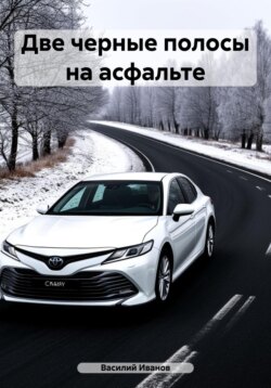 Две черные полосы на асфальте