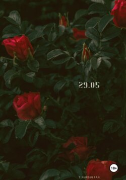 29.05