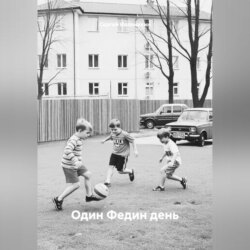 Один Федин день