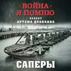 Саперы