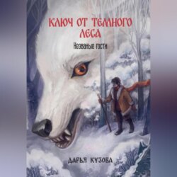 Ключ от Тёмного Леса. Незваные гости