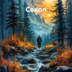 Сокол