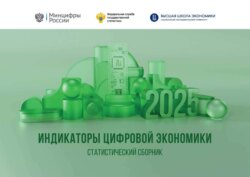 Индикаторы цифровой экономики 2025