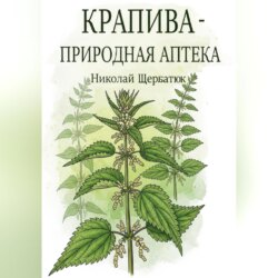 Крапива &ndash; природная аптека