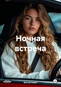 Ночная встреча