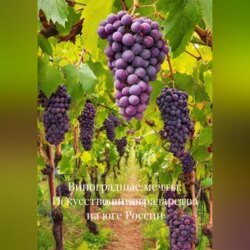 &laquo;Виноградные мечты: Искусство виноградарства на юге России&raquo;