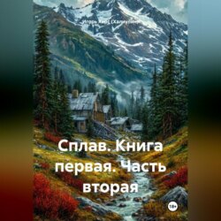 Сплав. Книга первая часть вторая