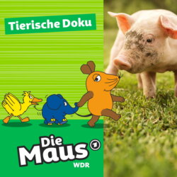 Die Maus, Tierische Doku - Tierheim D&uuml;ren