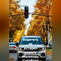 Водитель не уступил дорогу пешеходу. Судебная практика кассационных судов