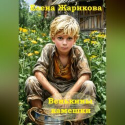 Венькины камешки