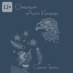 Операция &laquo;Анти-Кондор&raquo;