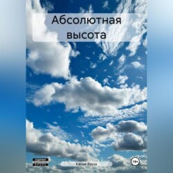 Абсолютная высота